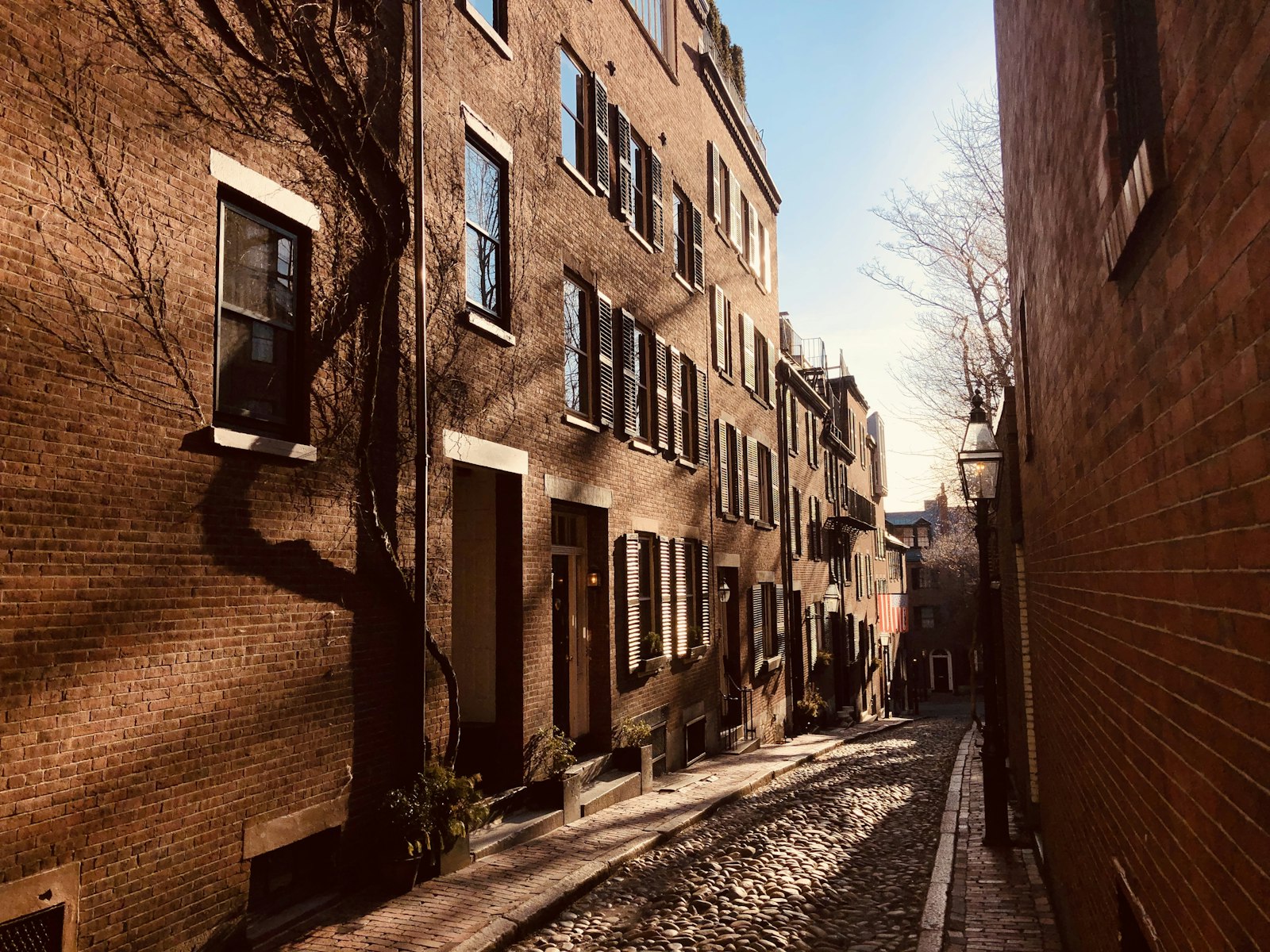 Autumn tree shadows on a brick rowhouse